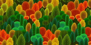 Berberine the Super Anti-Aging Antioxidant