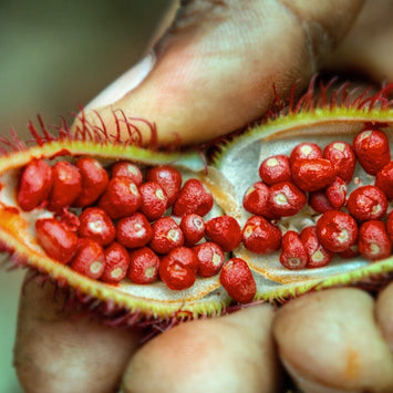 What Are Tocotrienols?