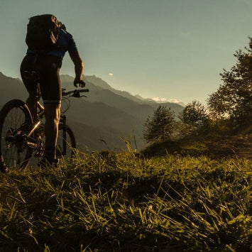 Why Vitamin D3 (Cholecalciferol) Can Boost Longevity