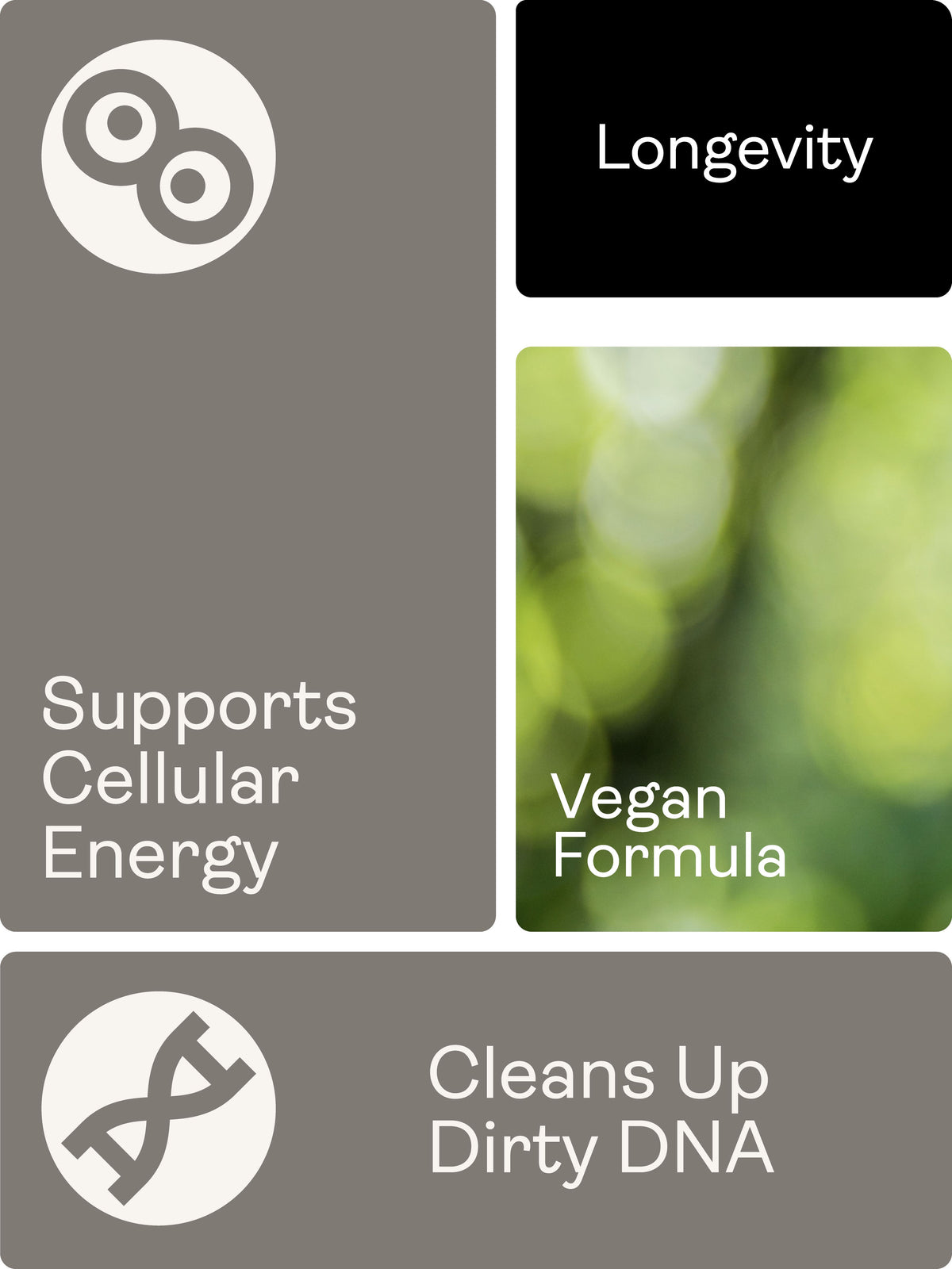 Calcium Alpha Keto-Glutarate (AKG) 500mg x 60 Capsules - Youth & Earth UK Store - Calcium Alpha Keto-Gluterate