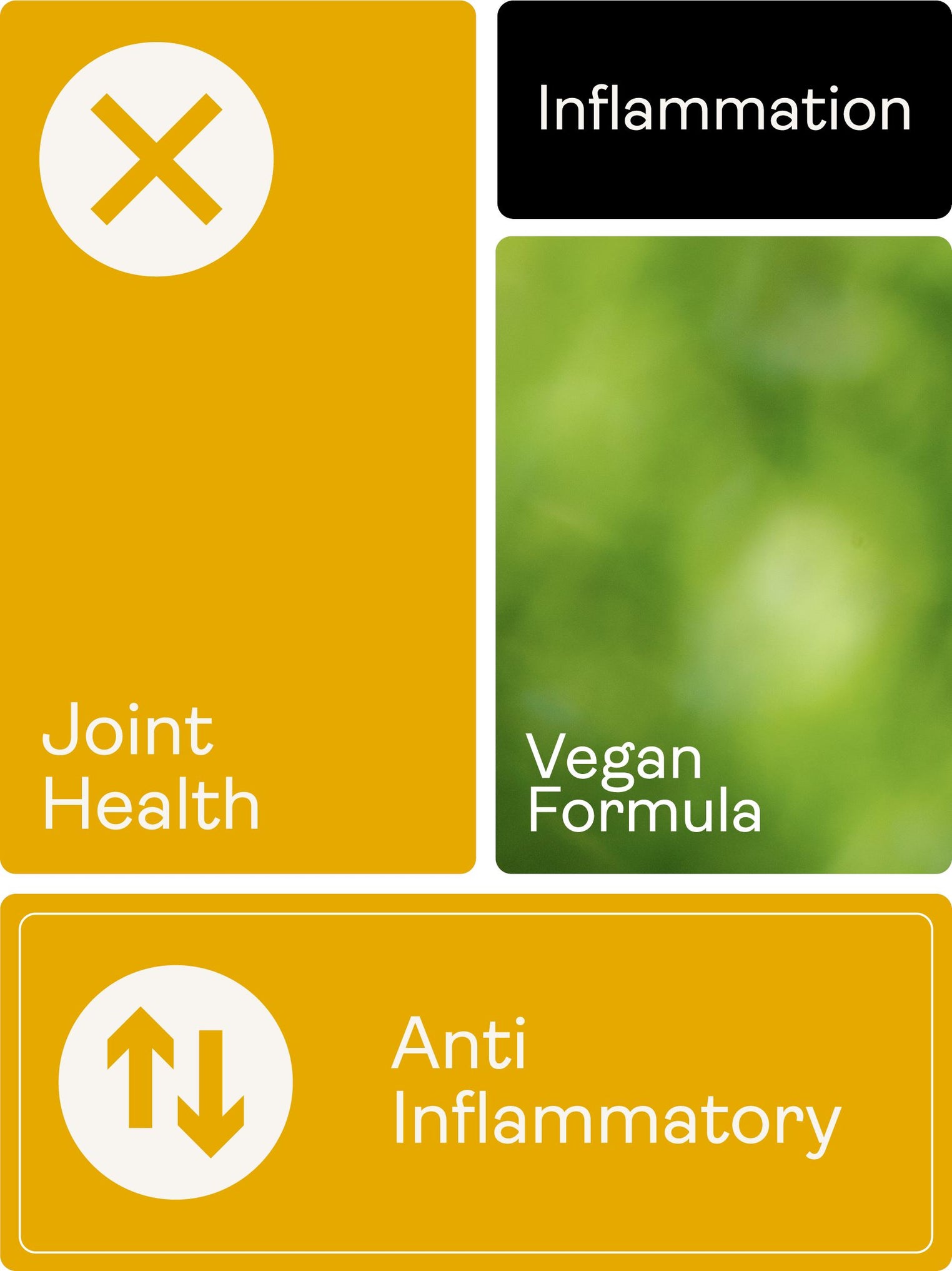 Liposomal Curcumin 200mg – Vanilla & Mango Flavour, 250ml - Youth & Earth UK Store - Liposomal Curcumin