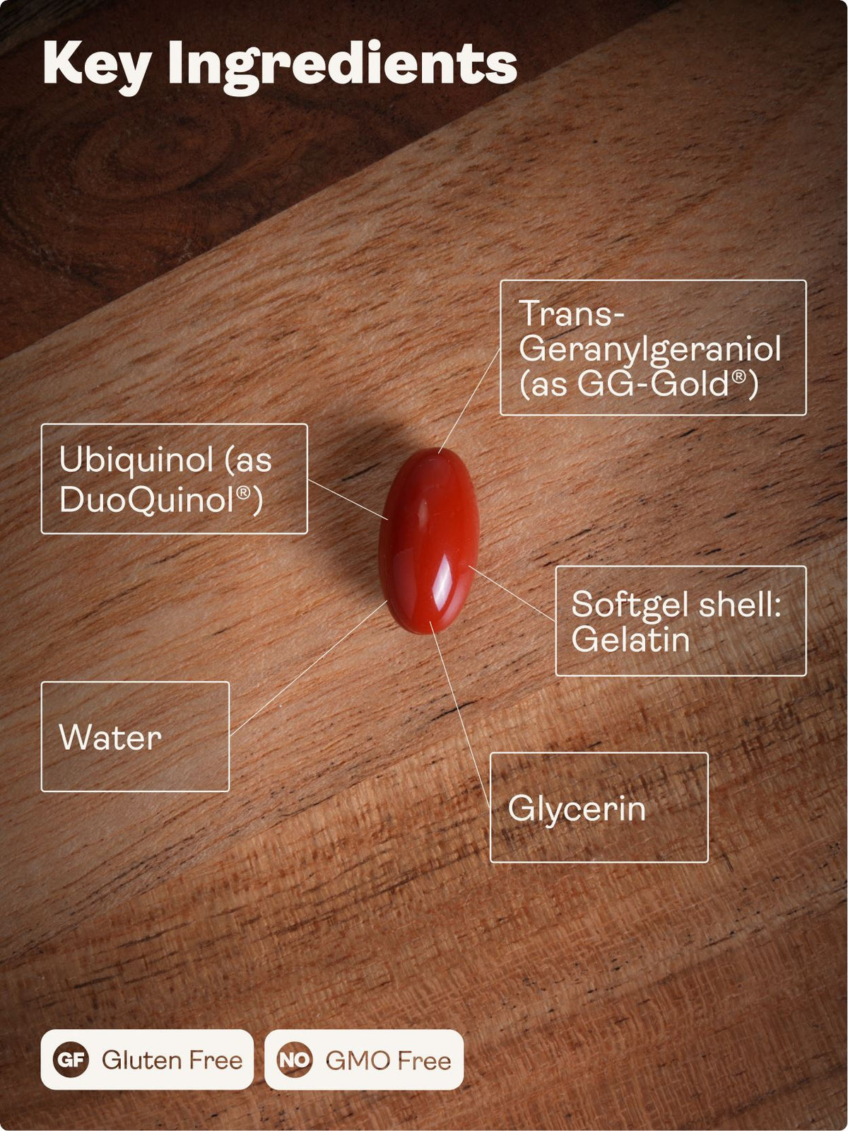 MITOCHONDRIAL CoQ10 (DuoQuinol® & GG-Gold®) Supplement - Youth & Earth UK Store -