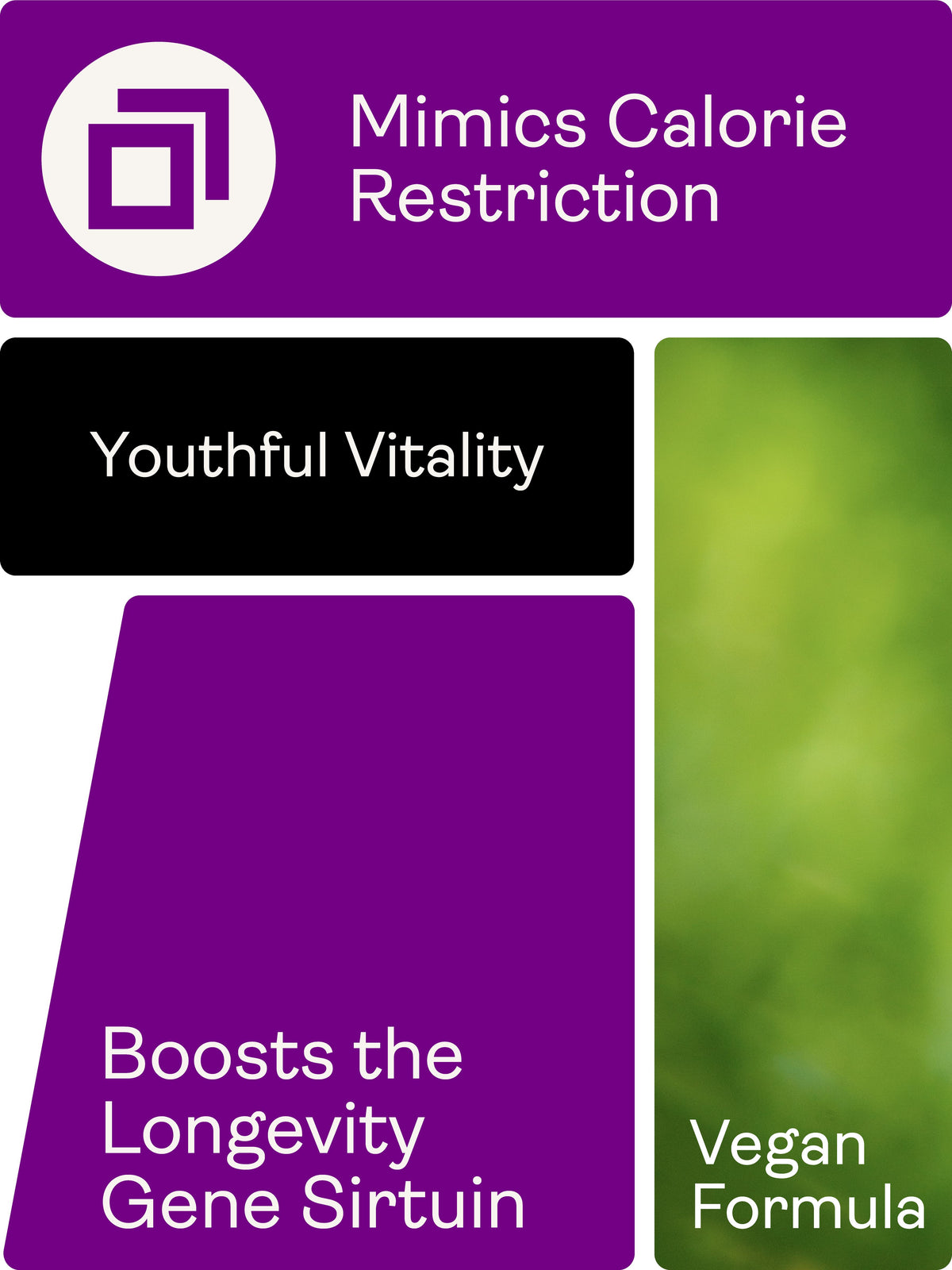 Preservage (Trans-Resveratrol, Curcumin, Quercetin, BioPerine) – 410mg, 60 Capsules - Youth & Earth UK Store - Sirtuin Activator