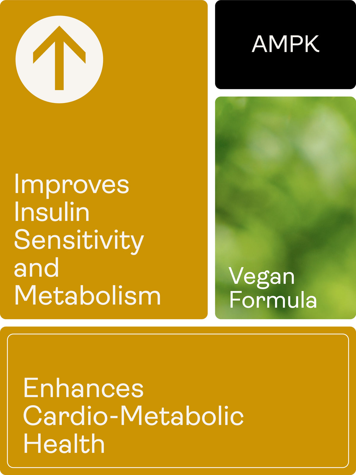 Releaf (Berberine, Silymarin, Chromium Picolinate) 500.5mg, 60 Capsules - Youth & Earth UK Store - Blood Sugar Support