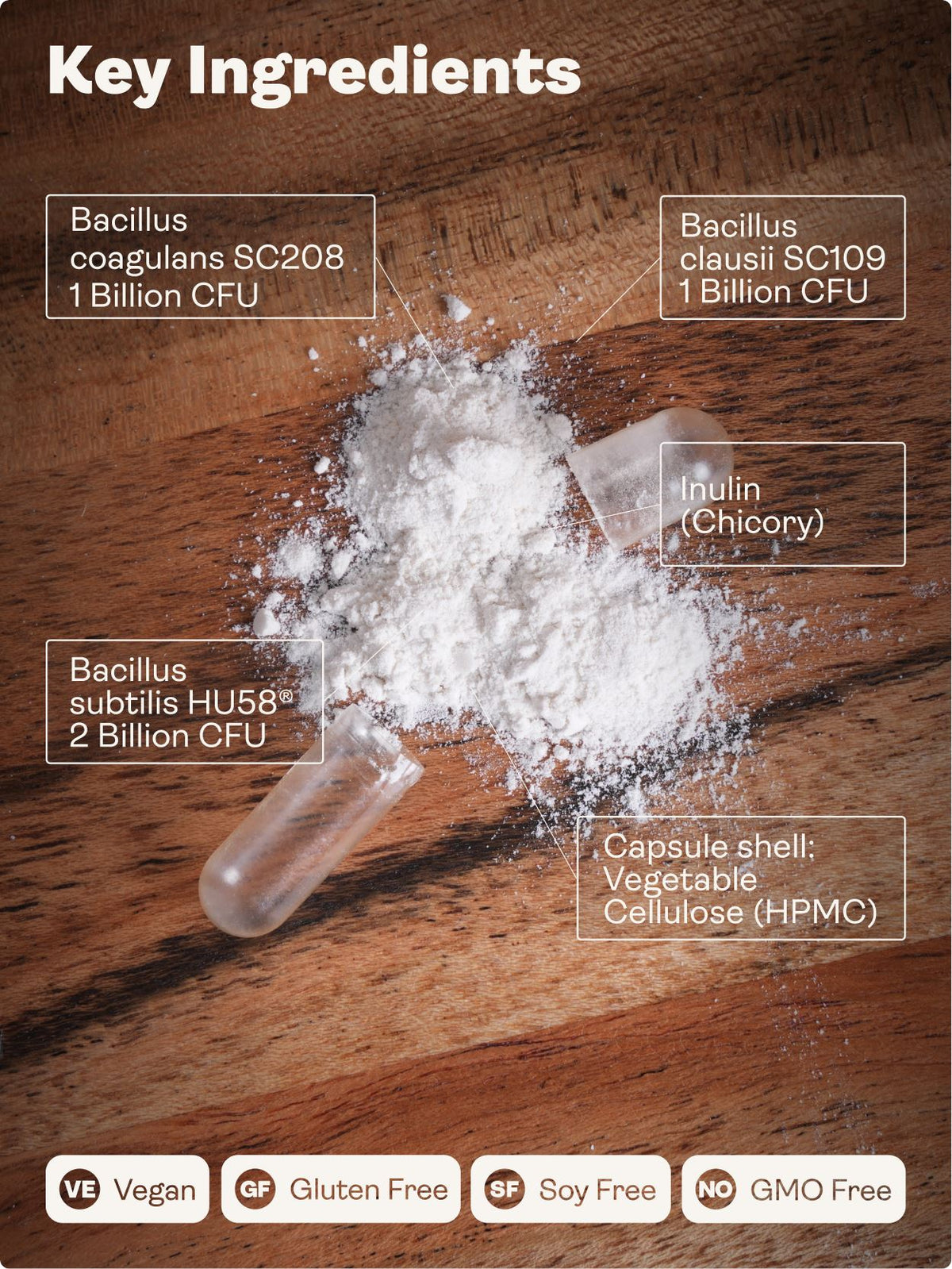 Spore Probiotic (Bacillus Subtilis HU58®, Coagulans SC208 & Clausii SC109) 4 billion CFU count - 60 Capsules - Youth & Earth UK Store -