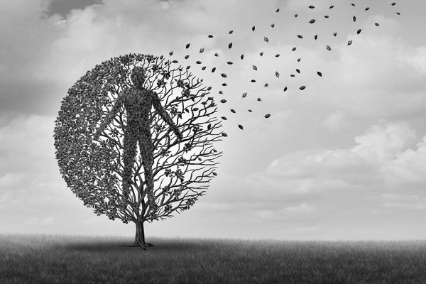 How Sirtuins And NAD+ Promotes Longevity