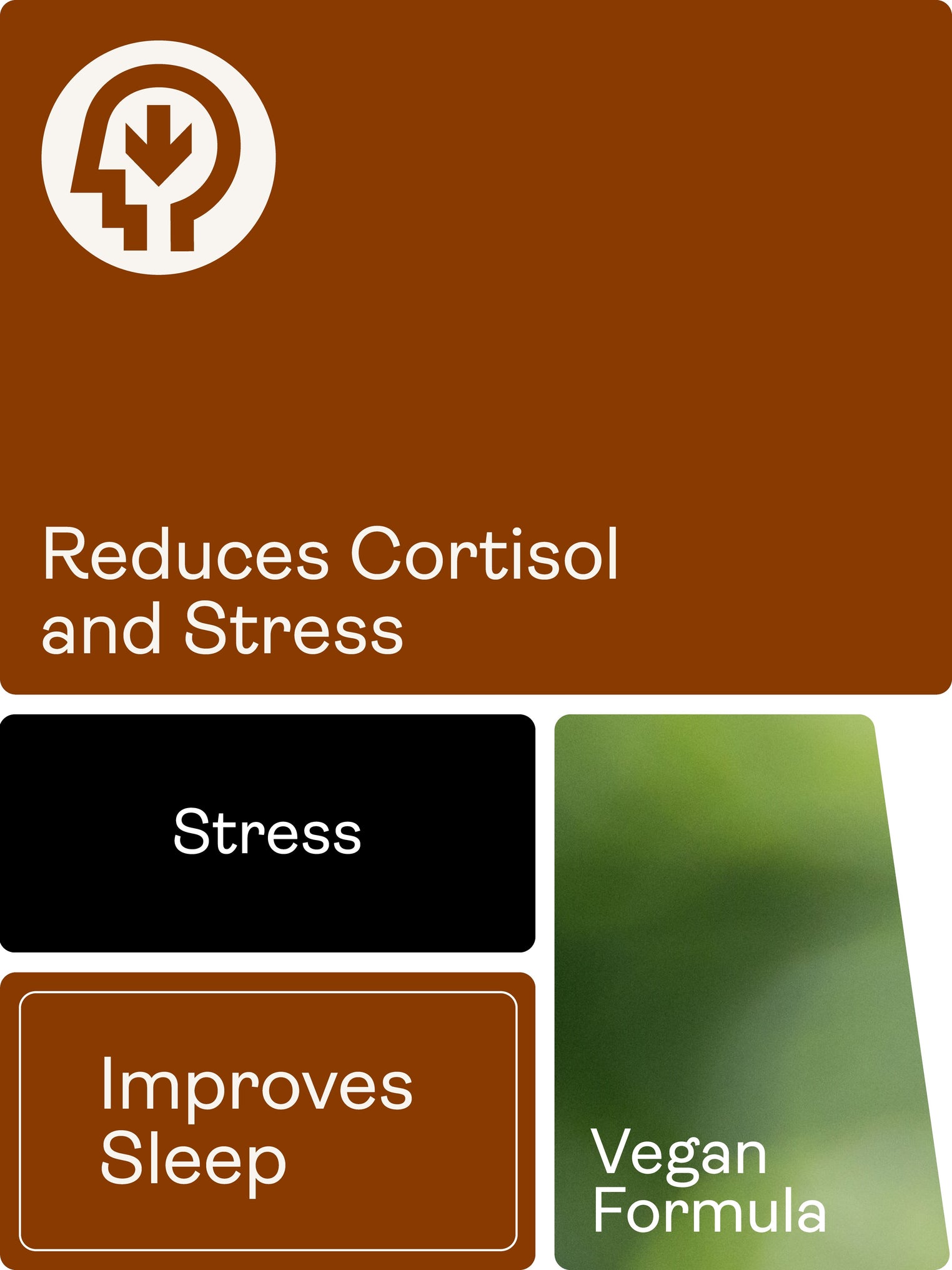 CHILLAXCINE (Ashwagandha, L-theanine & Saffron) 335mg, 60 Capsules - Youth & Earth UK Store - Ashwagandha, L-theanine & Saffron