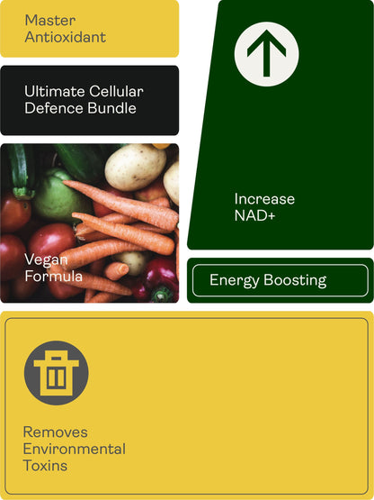 Cellular Defence Support Bundle - Youth & Earth UK Store - 