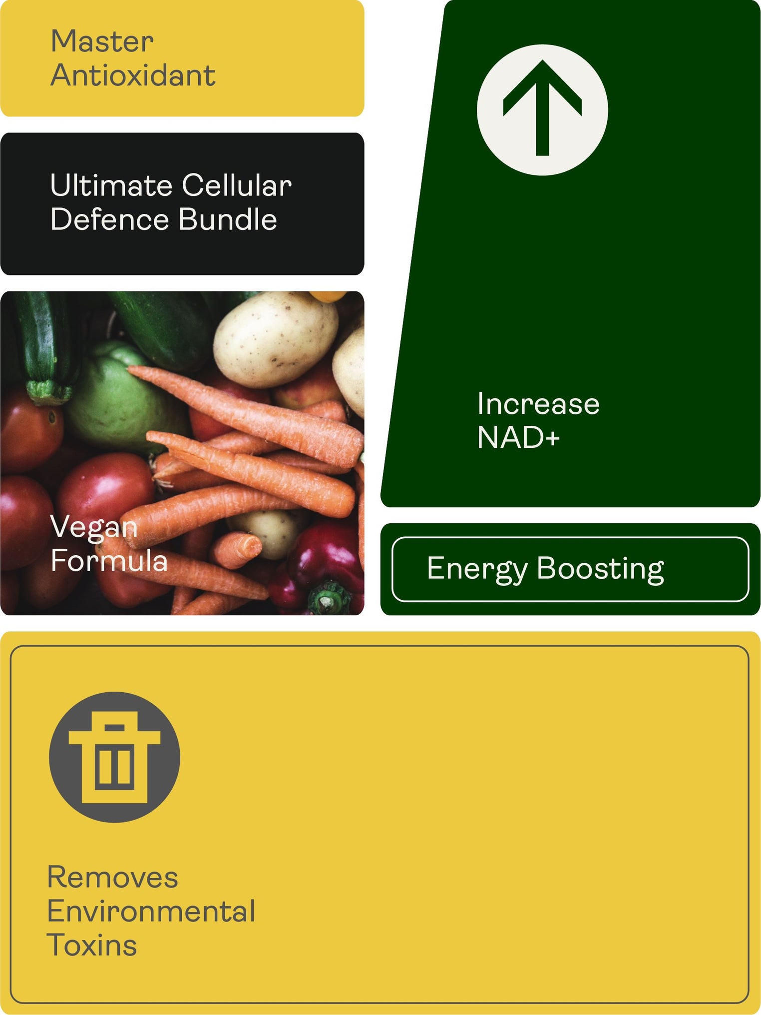 Cellular Defence Support Bundle - Youth & Earth UK Store - 