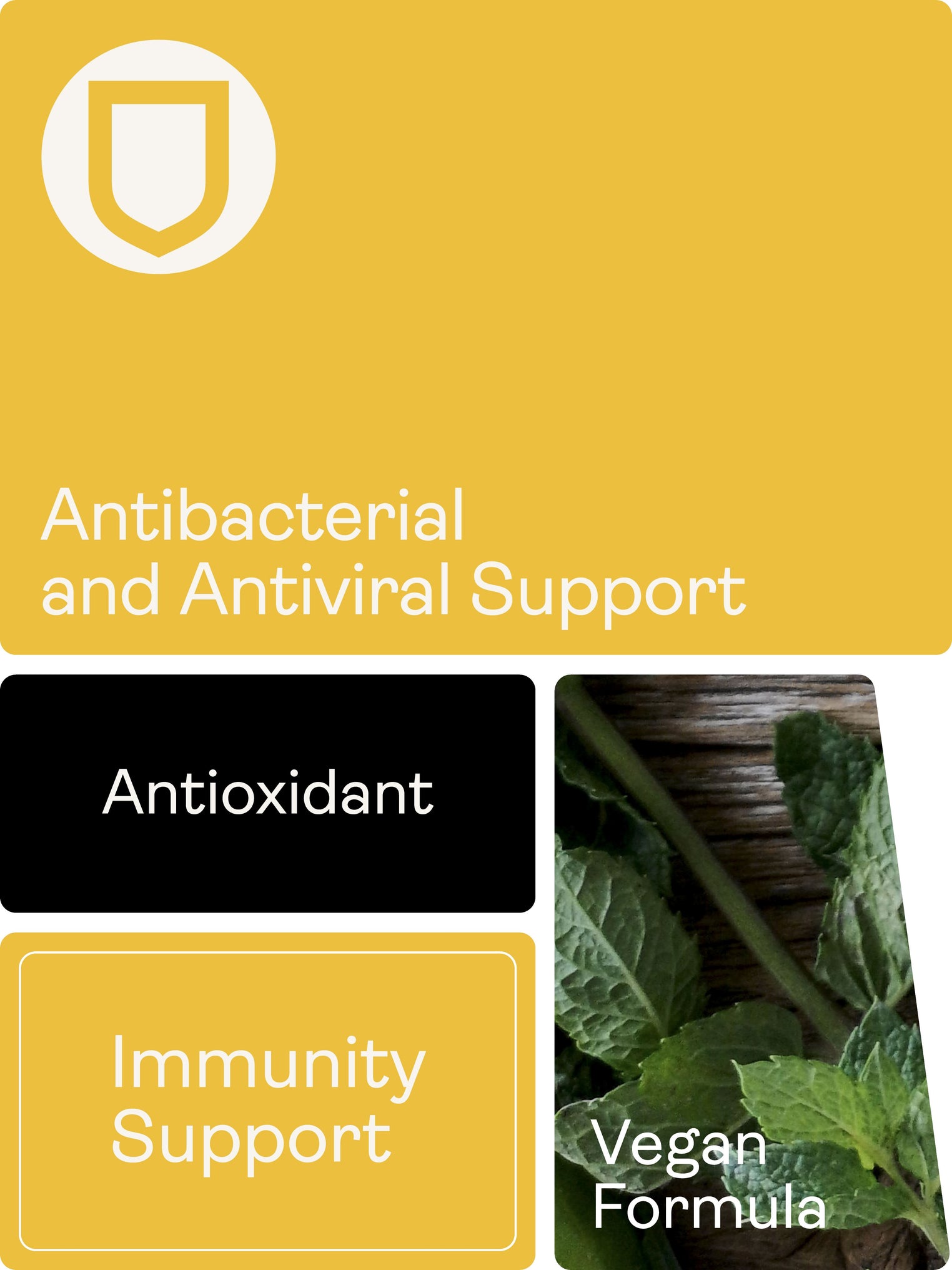 Garlic Extract (Allicillin) Extra Strength, 60 capsules (2 months supply) - Youth & Earth UK Store - 