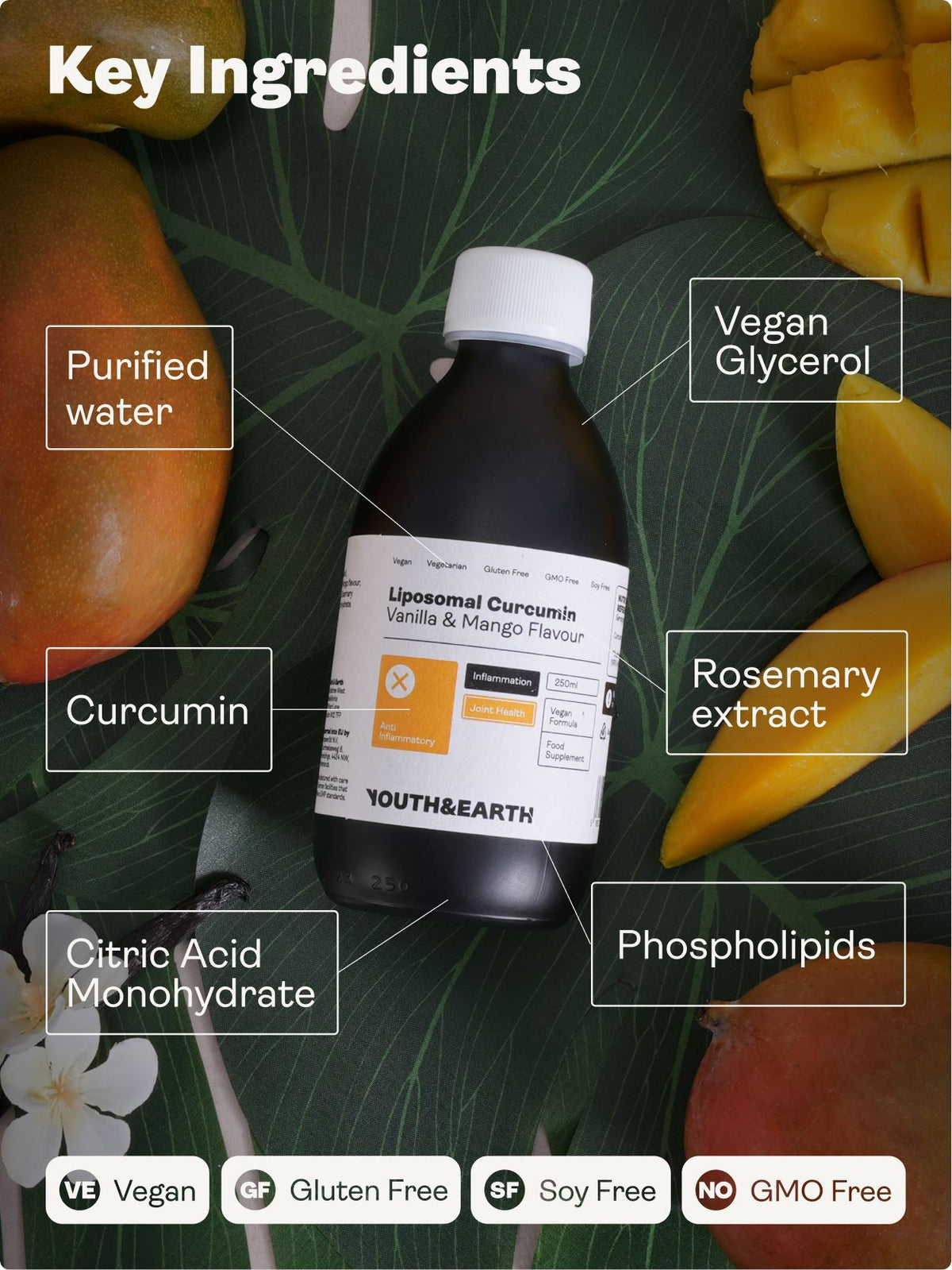 Liposomal Curcumin 200mg – Vanilla &amp; Mango Flavour, 250ml - Youth &amp; Earth UK Store - Liposomal Curcumin