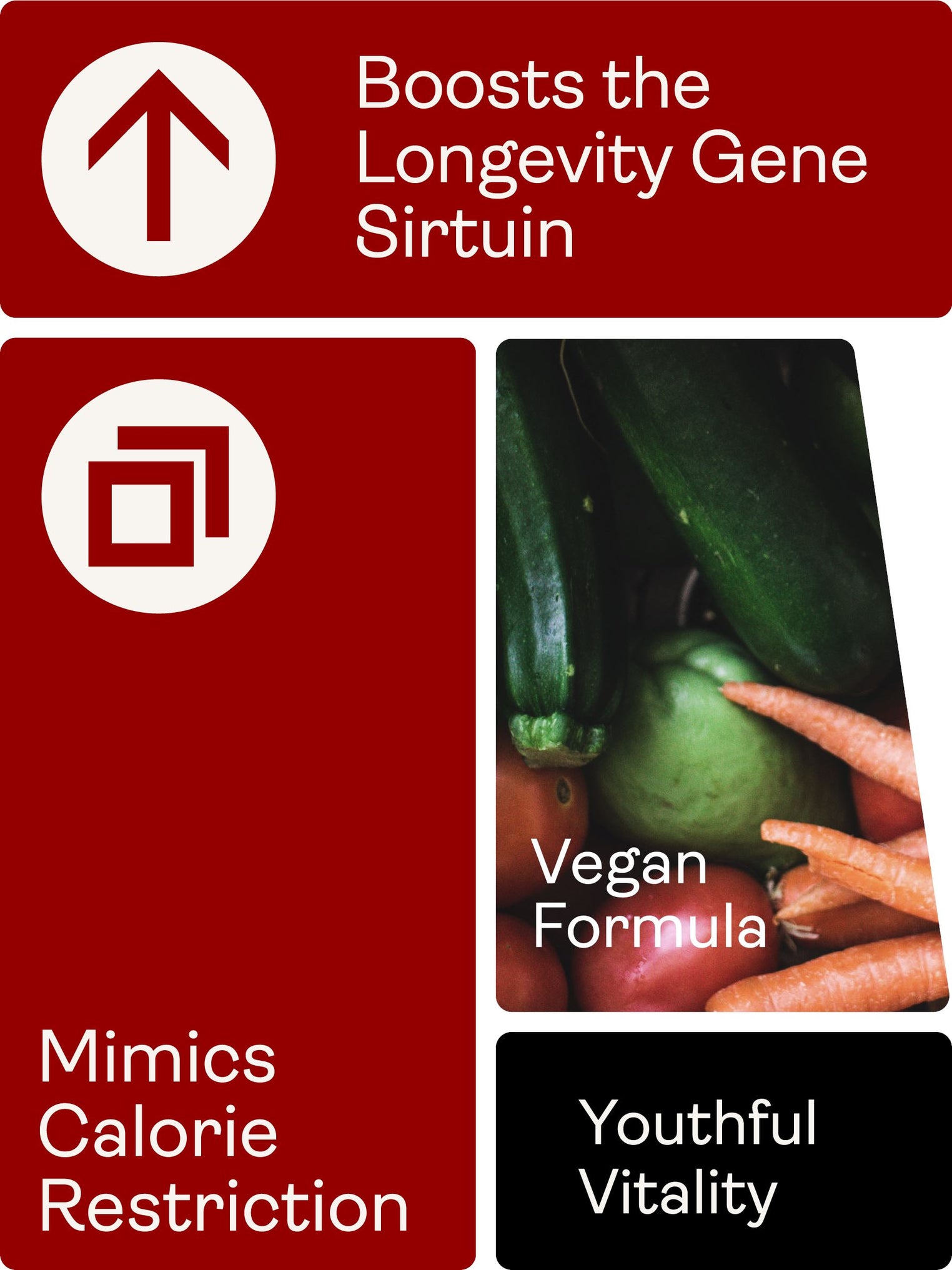 Liposomal Resveratrol 200mg (Wild Berry Flavour, 250ml) - Youth & Earth UK Store - Vitamins & Supplements