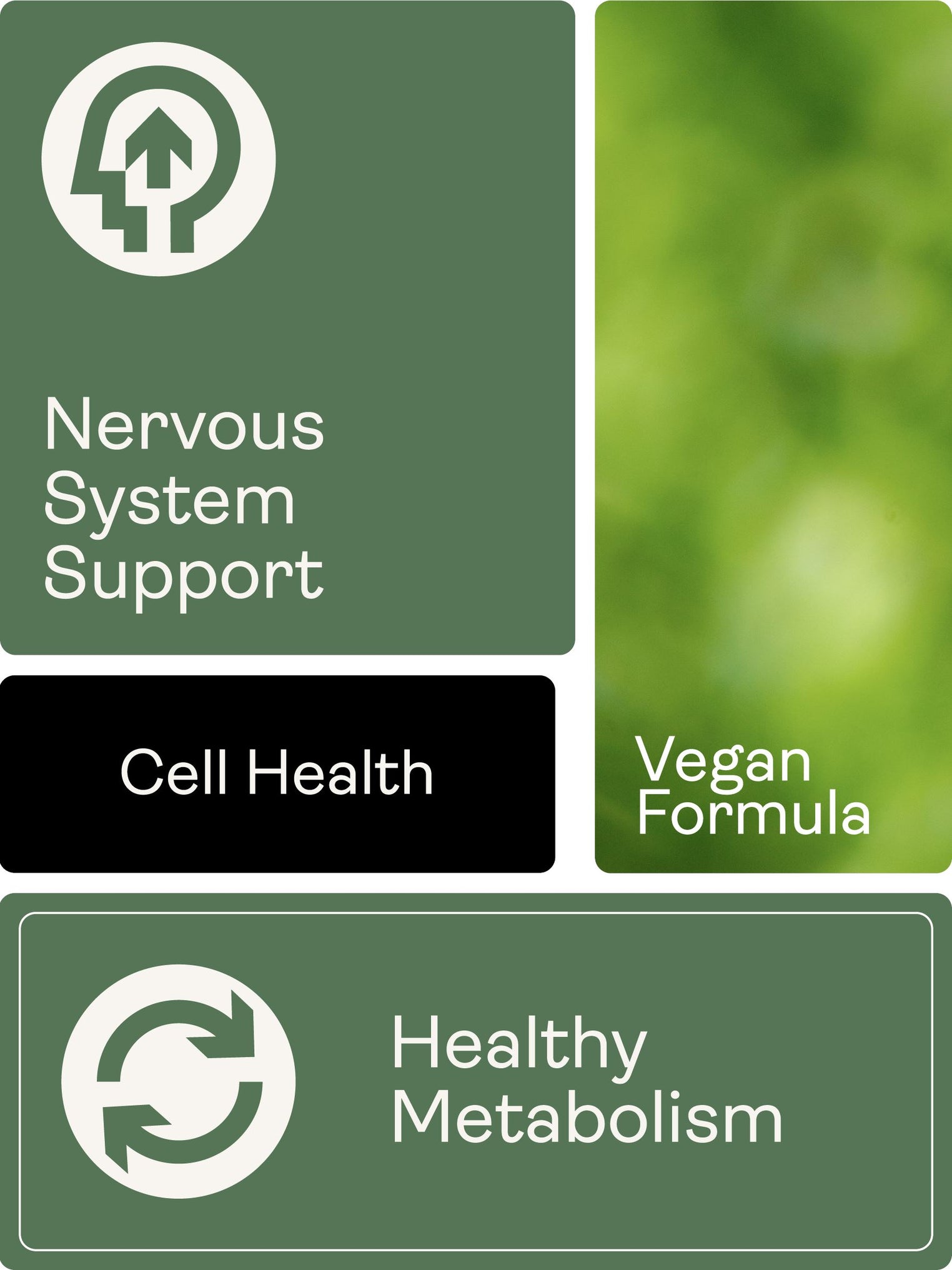 Liposomal Vitamin B Complex with 5-MTHF Folate (Mango & Orange Flavour, 250ml) - Youth & Earth UK Store - 