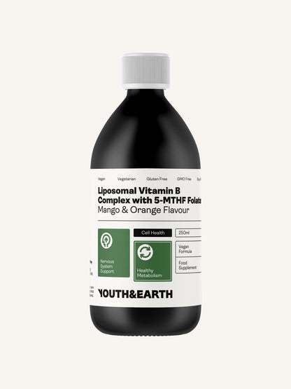 Liposomal Vitamin B Complex with 5-MTHF Folate (Mango & Orange Flavour, 250ml) - Youth & Earth UK Store - 