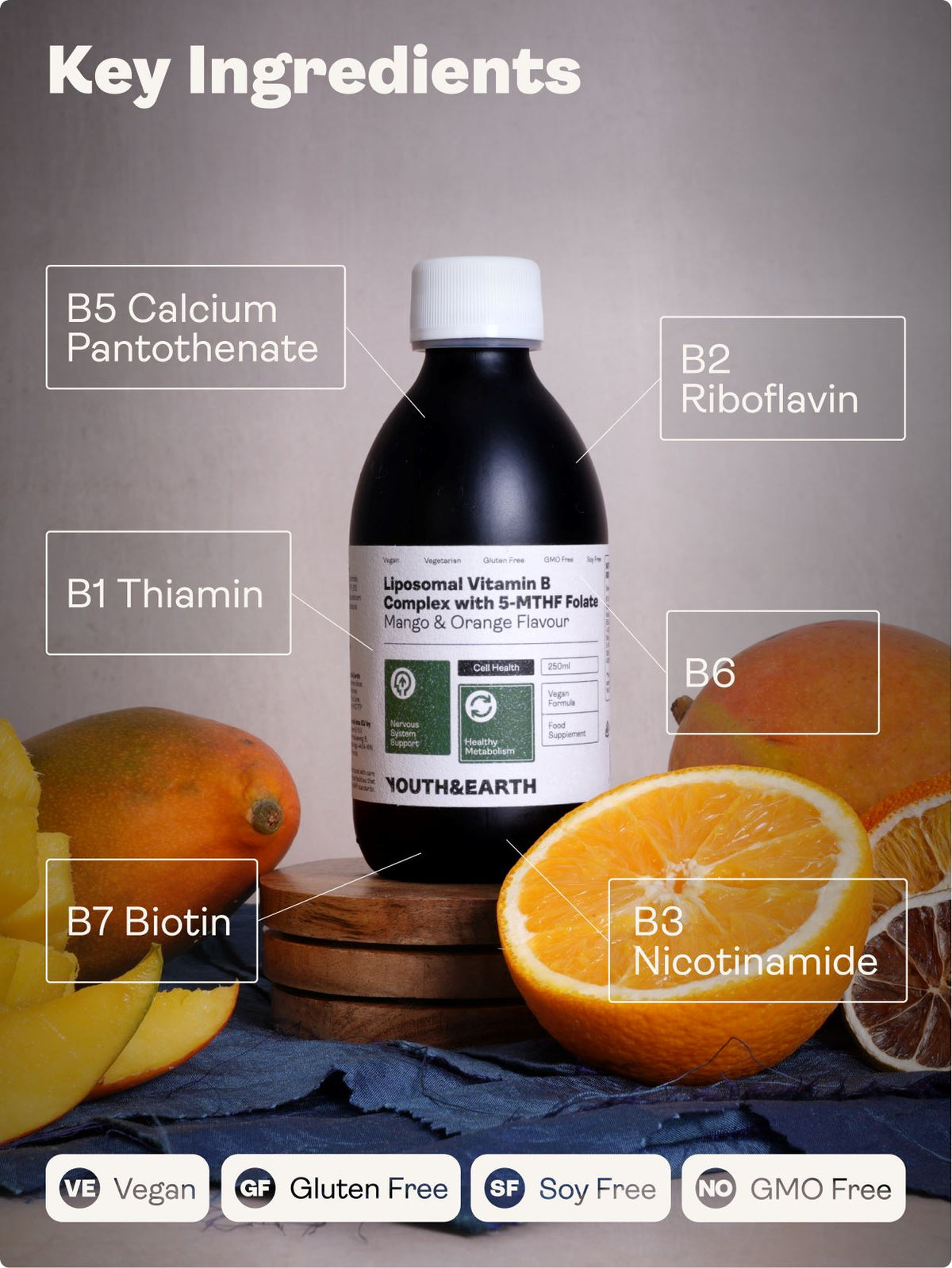 Liposomal Vitamin B Complex with 5-MTHF Folate (Mango &amp; Orange Flavour, 250ml) - Youth &amp; Earth UK Store - 