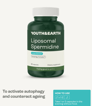 Liposomal Spermidine