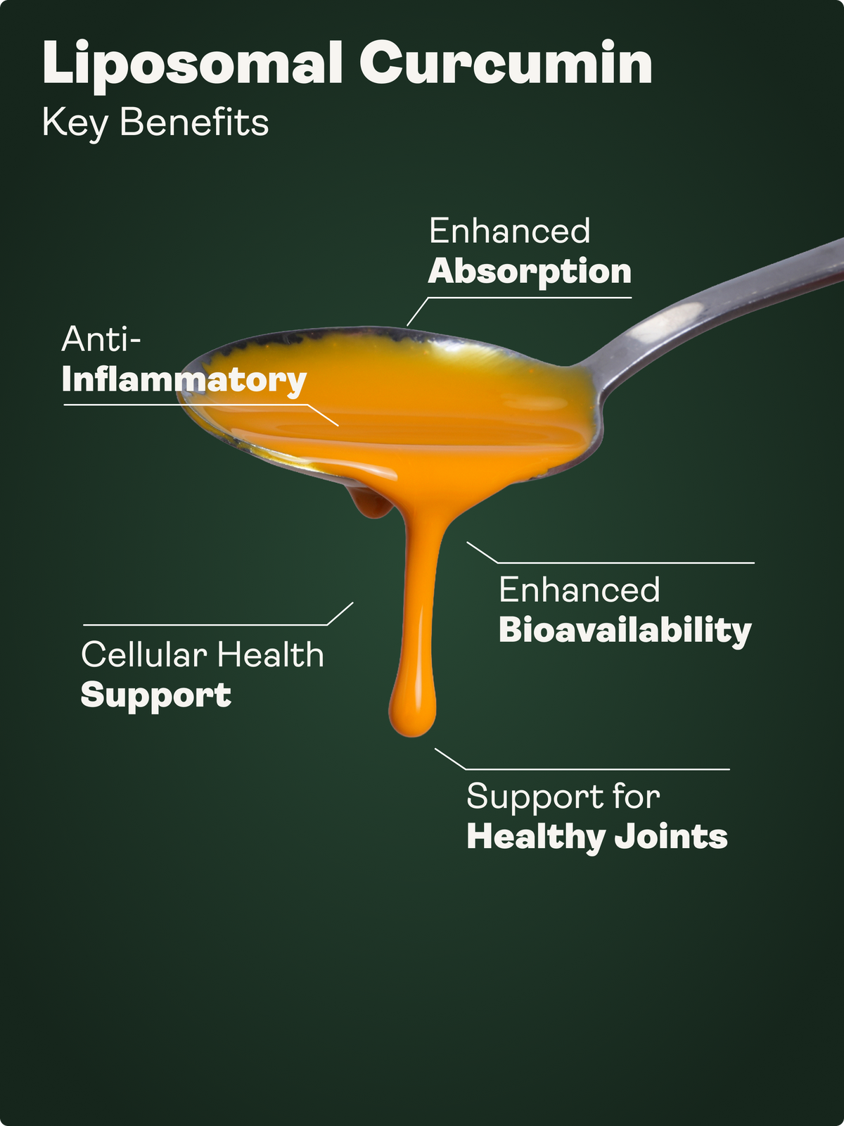 Longevity Essentials Trio (NMN & Liposomal Spermidine & Liposomal Curcumin) - Youth & Earth UK Store - 