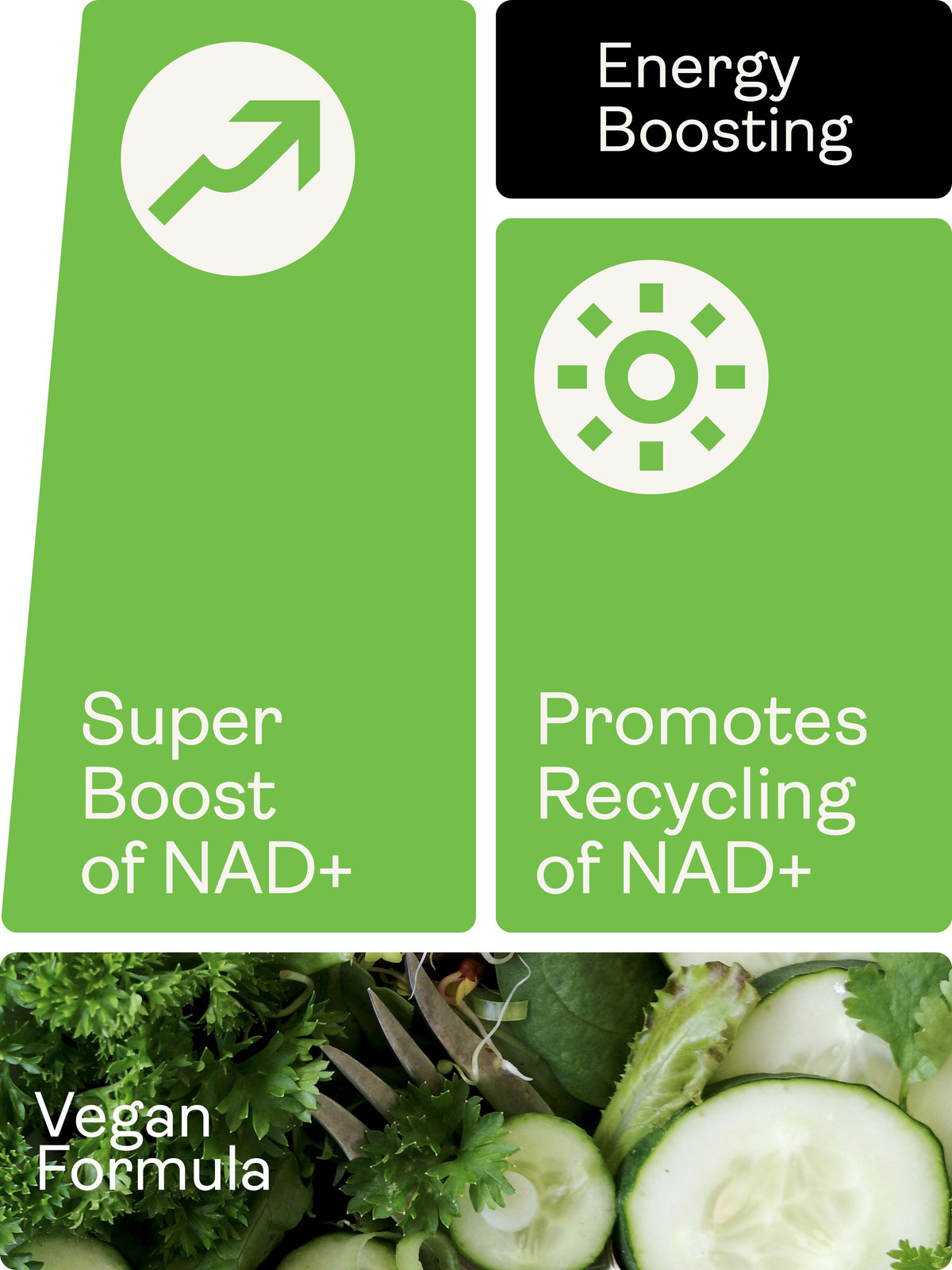 NAD Max - 460mg, 60 Capsules - Youth &amp; Earth UK Store - 