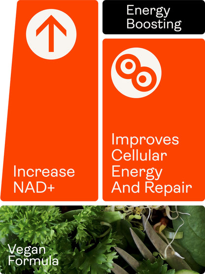 NR Capsules 60 Capsules (300mg) - Youth & Earth UK Store - 