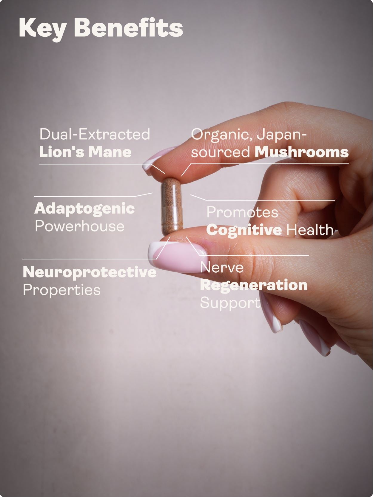 Nerve Growth Factor (Full Spectrum Lion's Mane Mushroom, Rhodiola, Ginseng, Bioperine) – 500mg, 60 Capsules - Youth & Earth UK Store - 