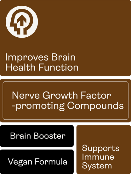 Nerve Growth Factor (Lion's Mane Erinacines, Hericenones , Rhodiola, Ginseng, Bioperine) – 500mg, 60 Capsules - Youth & Earth UK Store - 