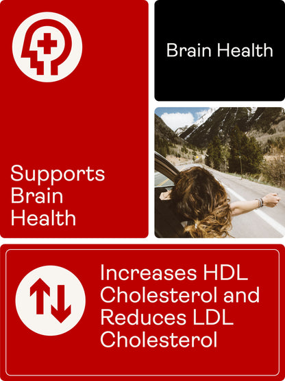 Omega-3 Krill Oil – 500mg, 60 Softgels - Youth & Earth UK Store - Brain Health