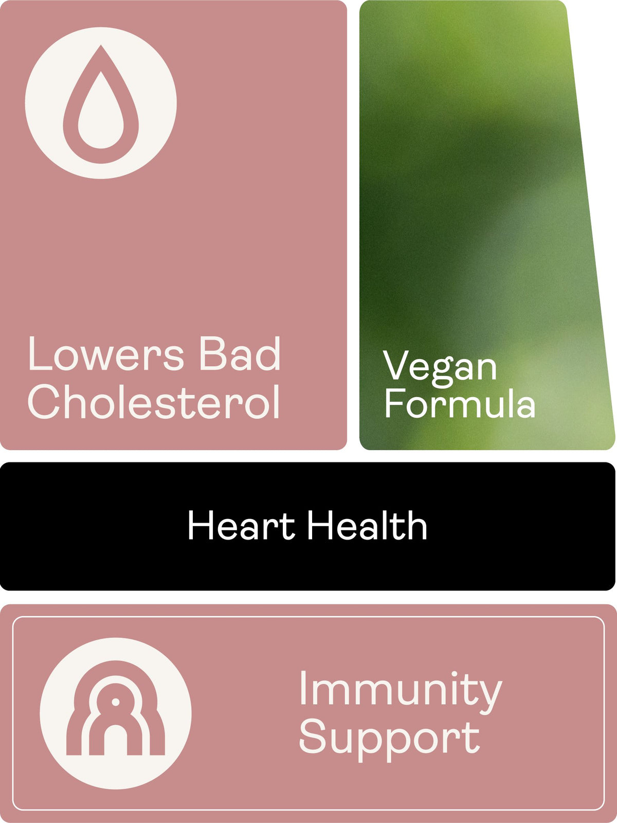 Phytosterols Supplements - 90 Capsules - Youth &amp; Earth UK Store - 