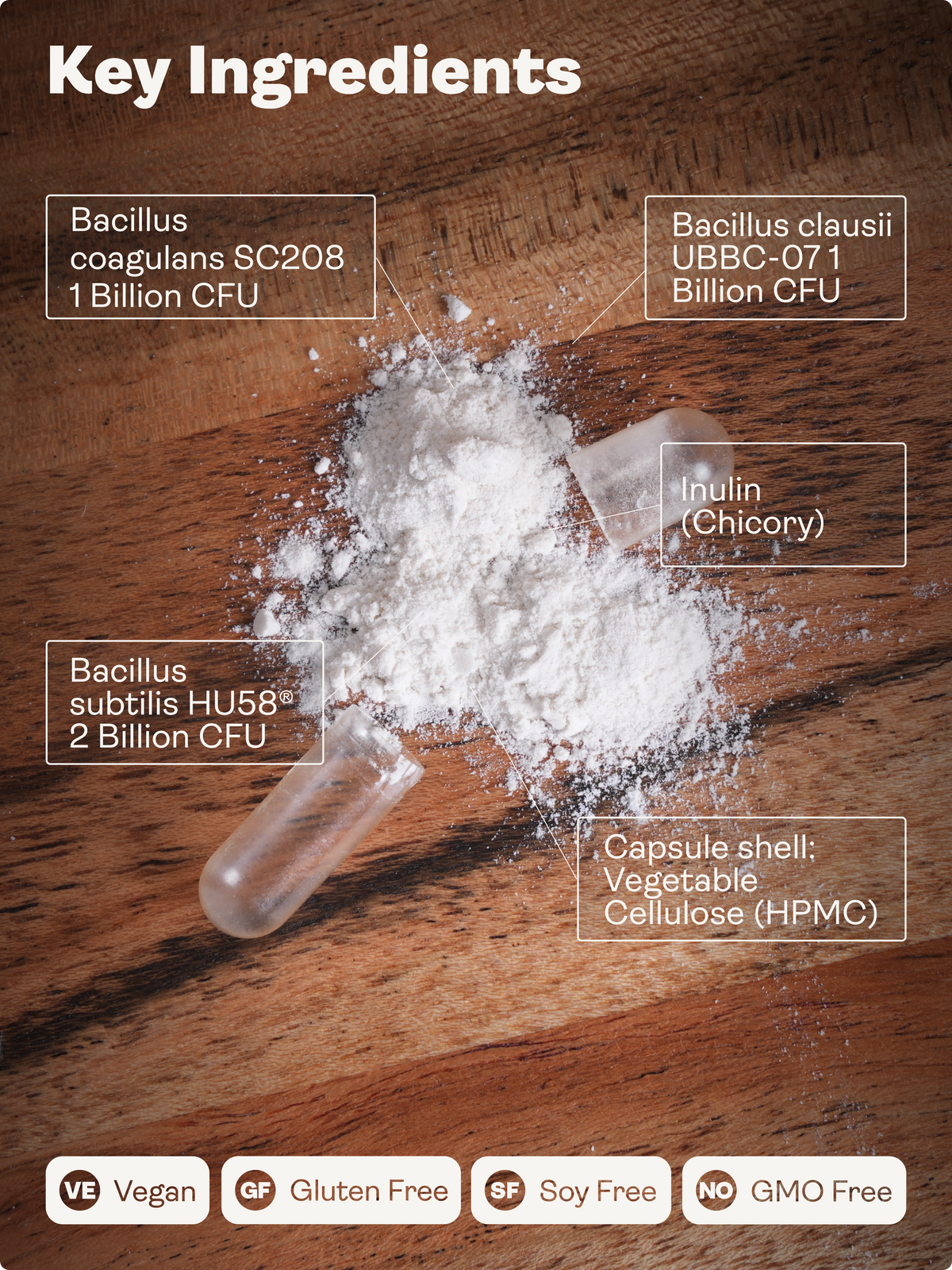 Spore Probiotic (Bacillus Subtilis HU58®, Coagulans SC208 & Clausii UBBC-07) 4 billion CFU count - 60 Capsules