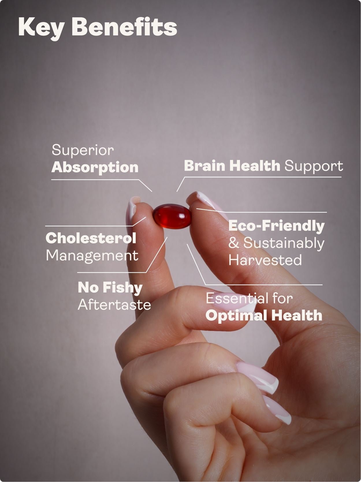 Superba ™ Krill Oil – 500mg, 60 Softgels - Youth & Earth UK Store - Brain Health