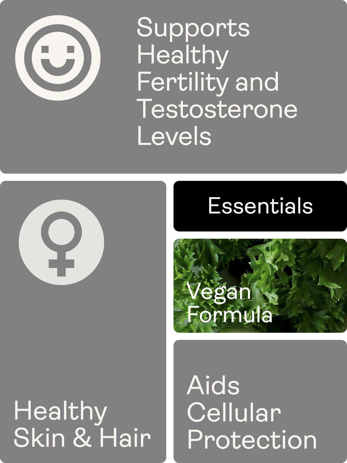 Zinc Picolinate 60 Capsules - youthandearth - 