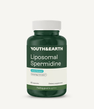 Liposomal Spermidine