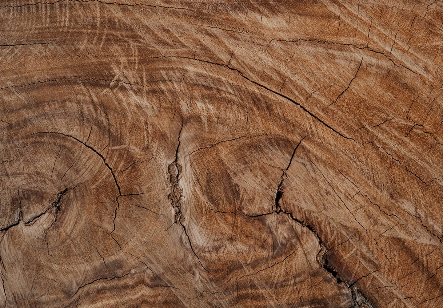 Close-up of a wooden surface with visible grain and cracks